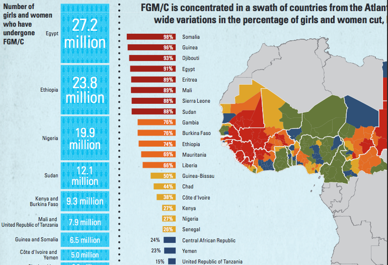 Unicef's statistical overview concentrates on Africa